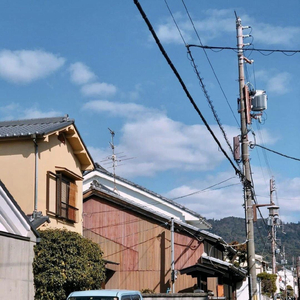 女人下面抽烟叫什么
